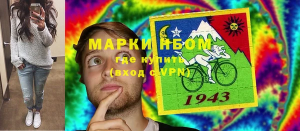 гашик Балахна