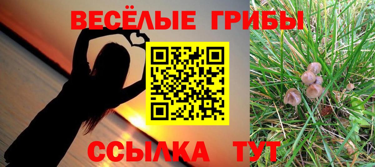 Бор  Галлюциногенные грибы Magic Shrooms  Псилоцибиновые грибы мицелий  Вход с VPN 