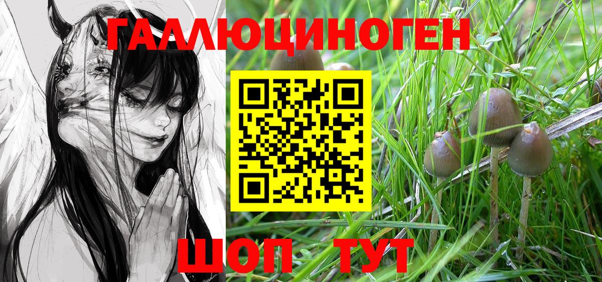 Галлюциногенные грибы MAGIC MUSHROOMS Бор