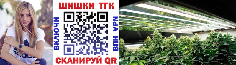 купить закладку  Бор  Канабис планчик 